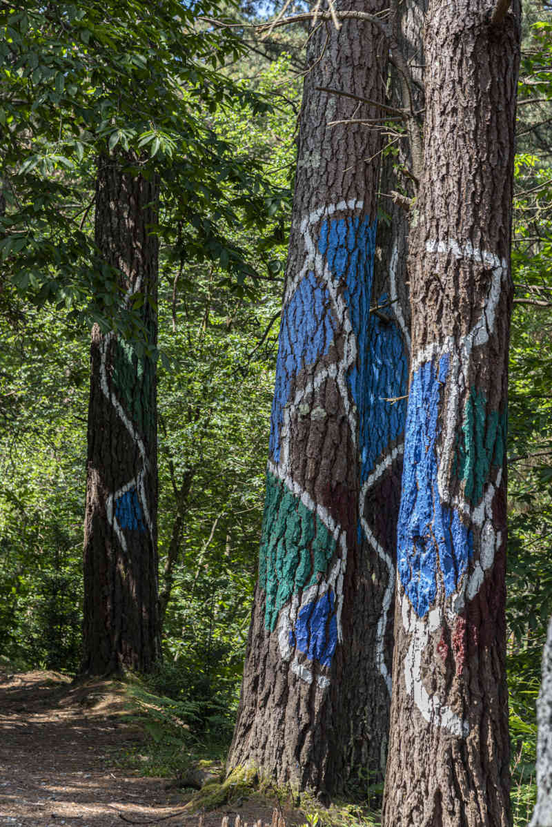 Vizcaya - Kortezubi 21 - bosque de Oma.jpg